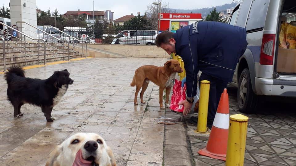 Sokak Hayvanları İçin Belirli Noktalara Düzenli Olarak Yiyecek Bırakıyoruz