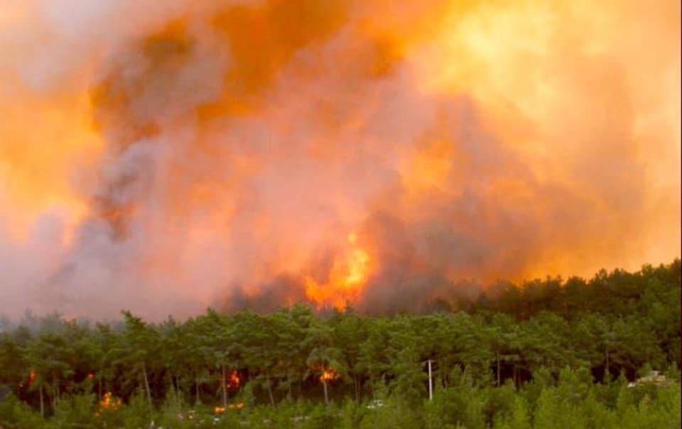 Kıymetli Yomralılar