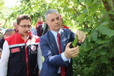 BAŞKANIMIZ KAHVERENGİ KOKARCAYLA MÜCADELE KAPSAMINDA GERÇEKLEŞTİRİLEN PROGRAMA KATILDI