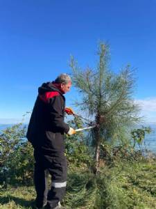 PARK VE BAHÇE EKİPLERİMİZCE GERÇEKLEŞTİRİLEN TEMİZLİK ÇALIŞMALARIMIZ